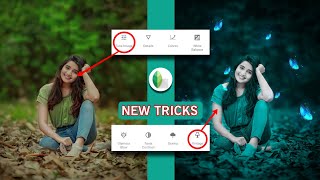 How To Change Background In Snapseed | New Glowing butterfly photo editing screenshot 2
