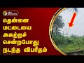 தென்னை மட்டையை அகற்றச் சென்றபோது நடந்த விபரீதம் | Madurai | PTT