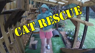 Braving the Storm: Heroic Tale of Cat Rescue During Tornado Warnings ~ Catio News 🌪️ by Our Catio Home 753 views 9 months ago 1 minute, 26 seconds