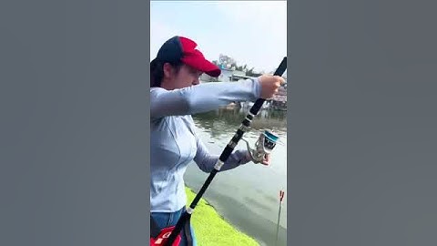 Cước Ultra Chrome kết hợp với máy nào là hợp  #fishing #cauca #ryokovietnam #vietnamfishing #câucá