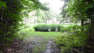 Hidden Path