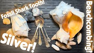 Silver, Shells, & Fossil Shark Teeth: Charleston South Carolina Treasure Hunting!