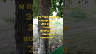 природа и жизнь.... главное что есть разум у нас и мы это понимаем#природа#видео#философия