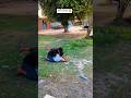 उल्टी चप्पल..😂 #comedy #funny #short #shorts