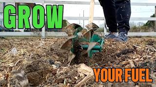 My Backyard System: Growing Food & Raising Chickens