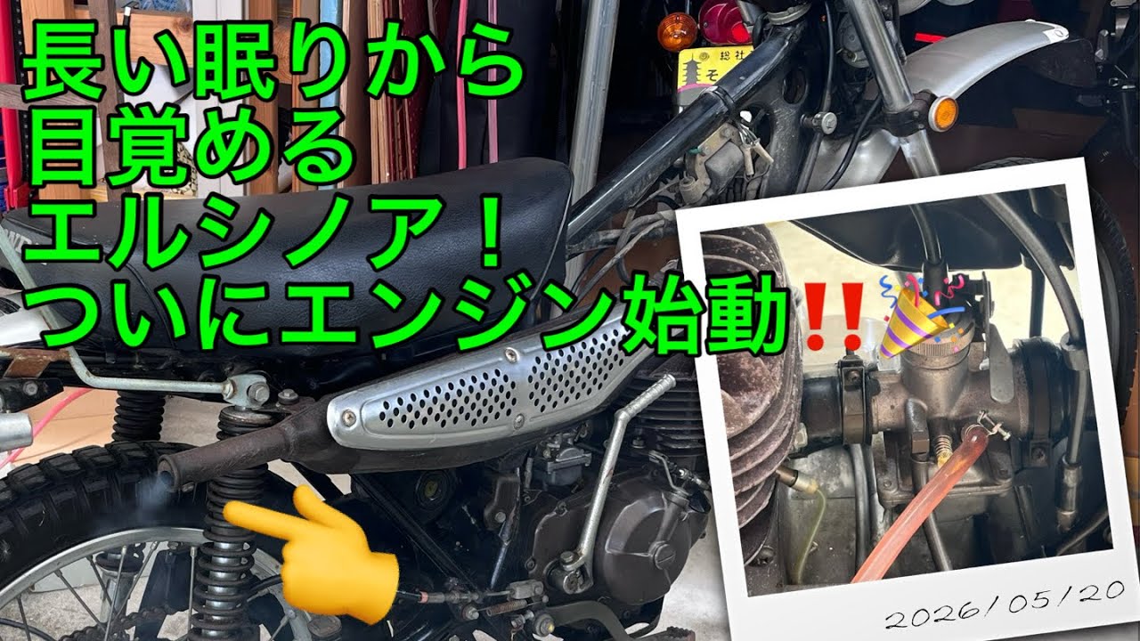 ホンダ | MT125 エルシノア クラシックチェッカー エルシノア125