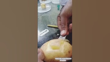 #Botany potato osmosis experiment.....🥔🍀🌿use for sr bipc students and biology students also ...
