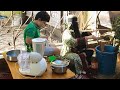 ياريتنى كنت من البدو حبايبنا مكان ما يوجد المي والخضرا أكون لا ضغوط ولا مسؤليات 