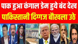 Download Lagu Pak media crying India stoped pakistan Water | India vs Pakistan | Pm Modi angry in pak MP3 Download Lagu Pak media crying India stoped pakistan Water | India vs Pakistan | Pm Modi angry in pak MP3