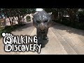 Louisiana State University (LSU) Campus Tour - Baton Rouge - Walking Discovery