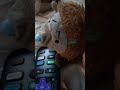 A lot of random
