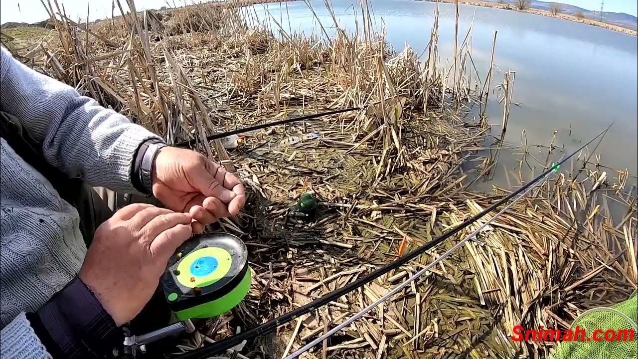 Херабуна началото - YouTube