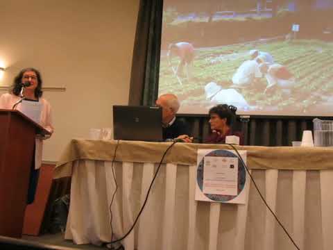 Congrès Vers La Fraternité Universelle 2018