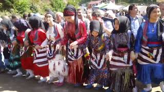 Yeşi̇m Ci̇velek - Acisu Şenli̇kleri̇