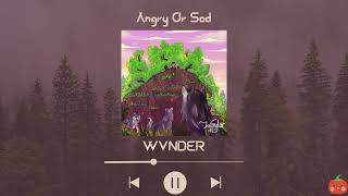 WVNDER - Angry Or Sad (Slowed & Reverb)