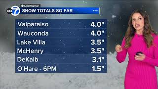 At least 4 inches of snow from winter storm measured in parts of Chicago area