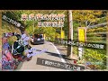そんな対向車ギリギリの道を進むの？！　奥多摩の秘境・日原鍾乳洞へテンションMAXで向かうモトブログ動画