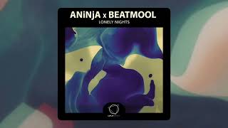 ANiNjA x Beatmool - Lonely Nights (Lizplay Records) #DNB 