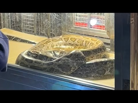 SNAKE SOUP🐍 in Taipei 😝