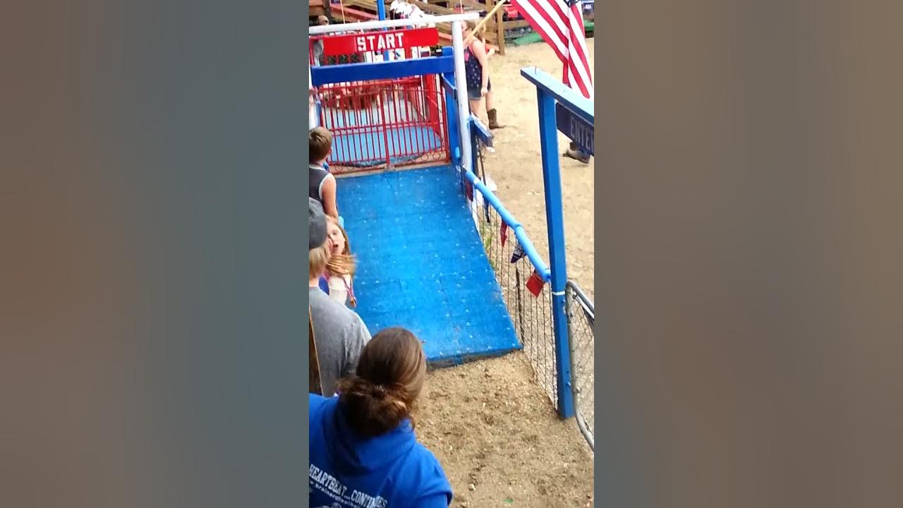 Pig races in Leader Minnesota YouTube