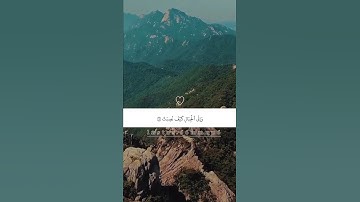 تلاوه خاشعه وهادئه من سوره الغاشيه بصوت ماهر المعيقلي #quran #قران_كريم #ماهر_المعيقلي #اجر #القرآن