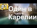 Жизнь в тайге Карелии. Готовлю грибы, морошку. Рыбалка.