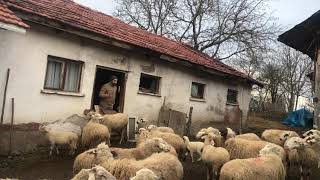 Açılışımıza Hoşgeldiniz Lütfen Pandemi Kurallarına Uyalım