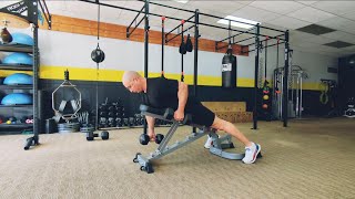 Chest Supported Alternating DB Rows top down (demo)
