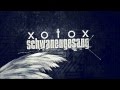 Miniature de la vidéo de la chanson Schwanengesang (Empusae Remix)