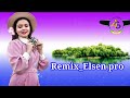 Remix Elsen Pro گلچین بیکلام 