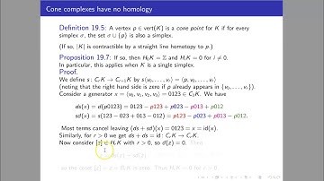Cone complexes have no homology