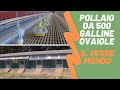 Pollaio da 500 Galline Ovaiole | Il Verde Mondo