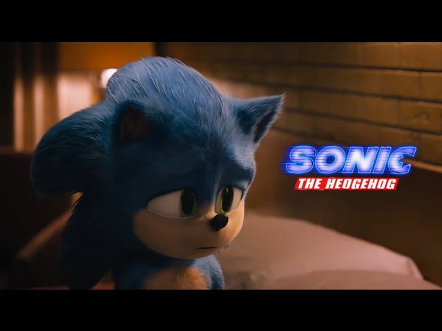 Friends have a way of making things - Sonic The Hedgehog