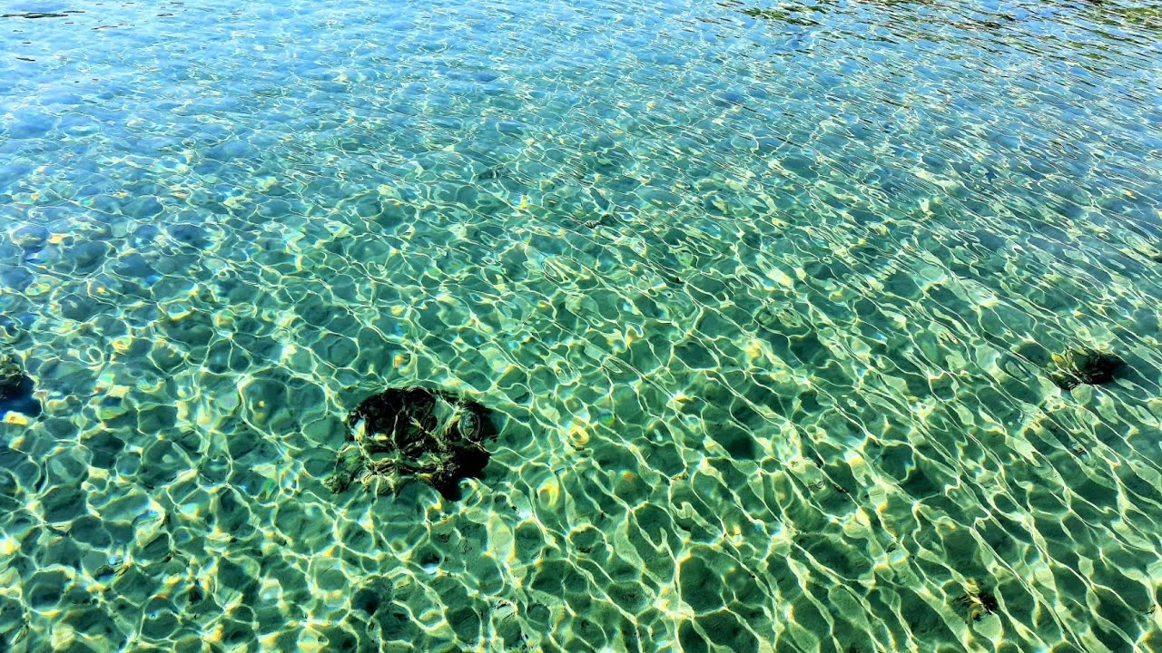 Musica Rilassante Mare | Liguria Colori Naturali e Pianoforte - YouTube