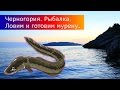 Черногория. Будва. Рыбалка в черногории. Ловим мурену. Как готовить мурену/Fishing in montenegro