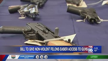 Legislators file bipartisan bills to allow nonviolent convicted felons to regain right to own guns