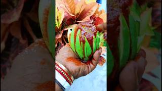 Spicy Raw Mango Masala |🤤🥭 Mango Pickle #shorts #food #trending #mango #kating #masala #shortsvideo