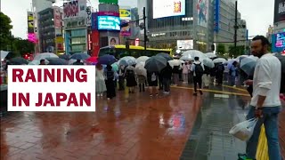 Japan rainy day walk | Shibuya Crossing | Arakurayama Sengen Park