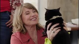 My Life Is Murder 2025🌹 To Dye For | NEW TODAY🌹My Life Is Murder Full Episodes