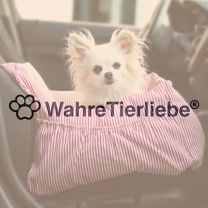 Hunde Autositz inkl. Gurt 🐶❤️ von WahreTierliebe® 