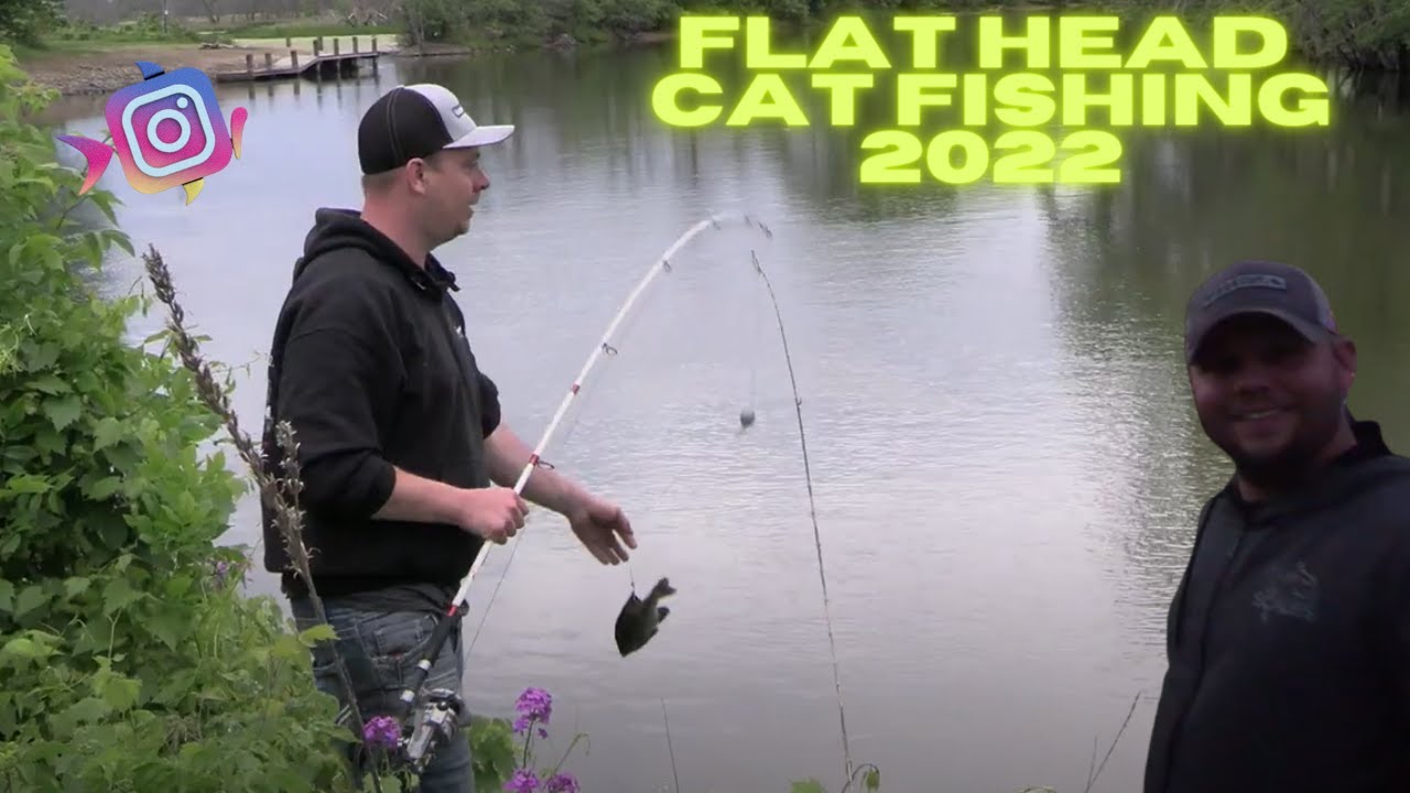 CATFISHING FLAT HEADS ON THE HUNT!! YouTube