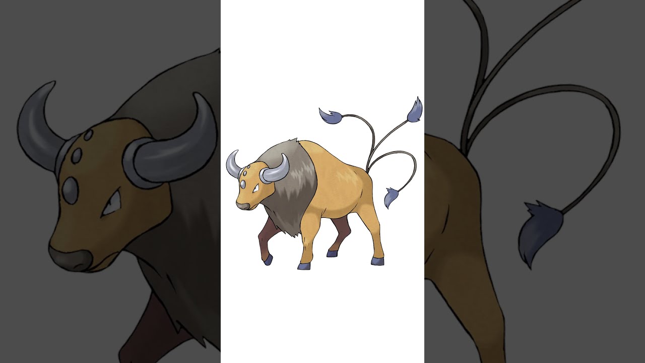 Facts about Tauros you might not know // Pokemon Facts PokeFacts