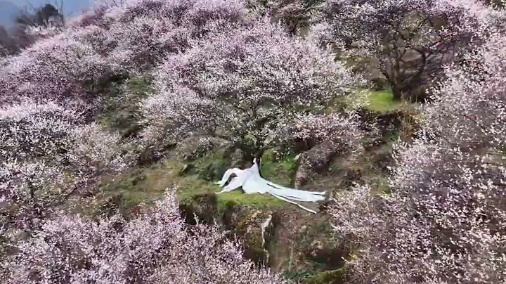 Heming Mountain in Chengdu city. Welcome the Spring 2023! #spring - DayDayNews