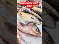 सल्का नवागांव बाजार में बड़ी मछली आया #fish #chhattisgarh #viralvideo #market #shorts