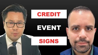 The Key Indicator For Recession, Credit Event, Market Meltdown | Michael Gayed @leadlagreport