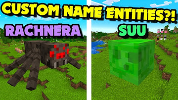 How to Spawn CUSTOM NAME ENTITIES in Minecraft 1.21.5+ Java?! Custom Name Mob Command [Very Easy]