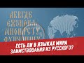 Есть ли в языках мира заимствования из русского?