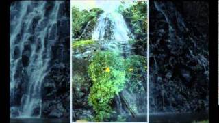 Video thumbnail of "Island in the sun( Pohnpei )1.wmv"