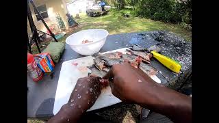 Cleaning 53 Bluegills and Shellcrackers!! (some time lapse)