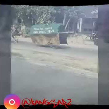 Story wa tukang maido